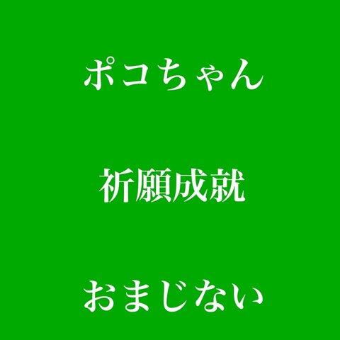 ポコちゃん  祈願成就  ♦  999円に値下げしました。