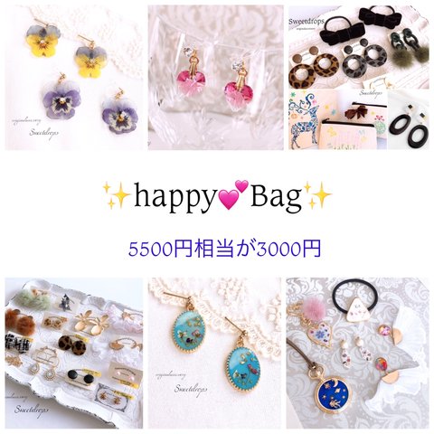 ✨とってもお得なhappyBag✨