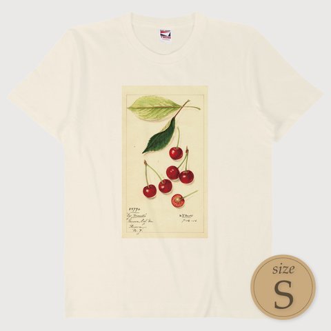 S〔T4452〕さくらんぼ／チェリー／Cherry【USDA Watercolor Collection】水彩画／手描き／ナチュラル／果物／S M L XL Tシャツ