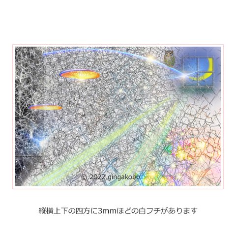 「百重の言の葉」 ふくろう　ほっこりほっこり癒しのイラストポストカード2枚組No.029