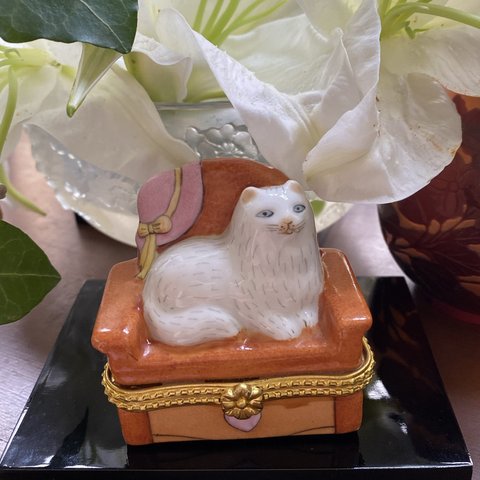 リモージュのお椅子に優雅に佇むペルシャ猫リモージュボックス