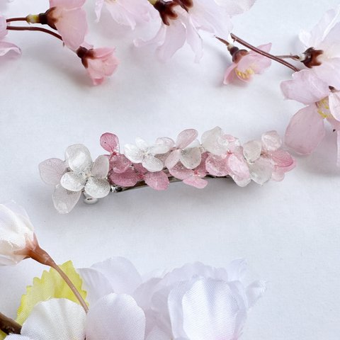 桜色🌸な本物の紫陽花 が咲く バレッタ 髪飾り ˚⊹ ⁺‧