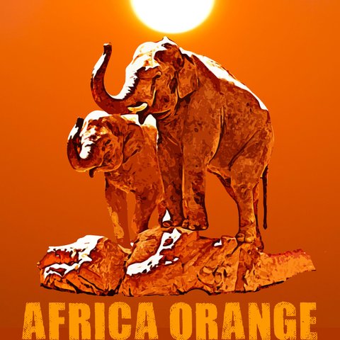 【A3ノビポスター】「アフリカオレンジ」（額なし）