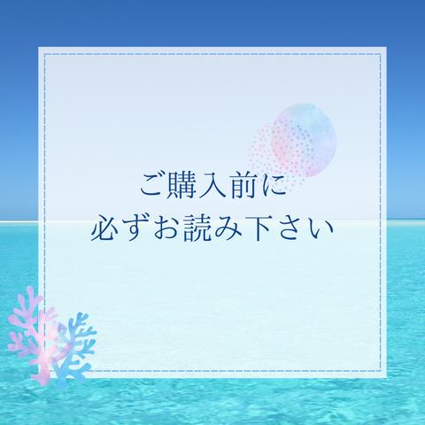 納期について必ずお読み下さい(* .ˬ.)