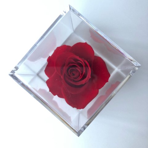Rose cube☆red