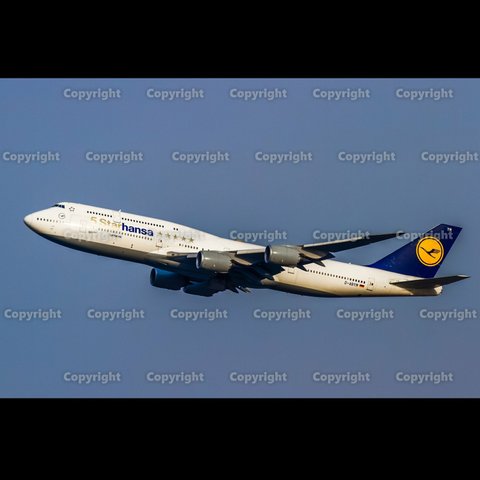 ★飛行機画像 No,H-0041「Lufthansa　B747-8　5Starhansa」JPEGデータ★