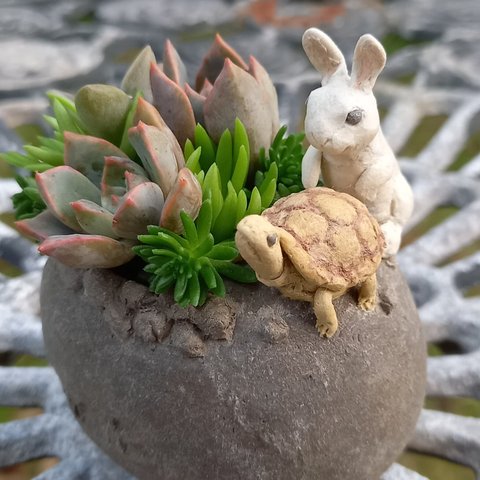 ウサギと亀　たまご鉢　多肉植物鉢