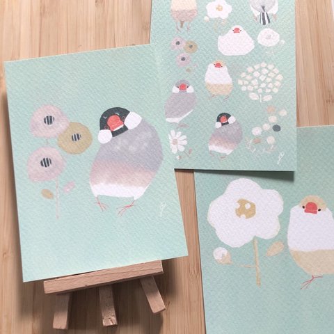 【ポストカード】文鳥とお花7枚セット(送料無料)