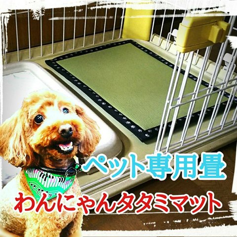 わんにゃんタタミマット小型犬用ソフト