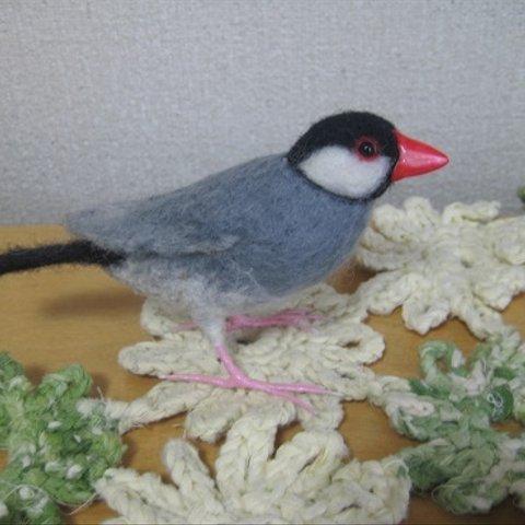 羊毛フェルト　桜文鳥