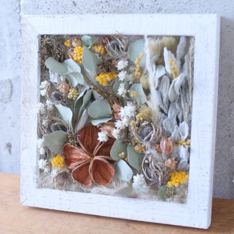 ❇︎dry flower frame❇︎