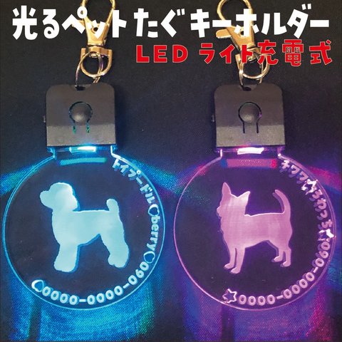 めっちゃカッコイイ！✨光る✨ペットたぐ キーホルダー 迷子札 犬 猫 犬首輪LEDライト充電式