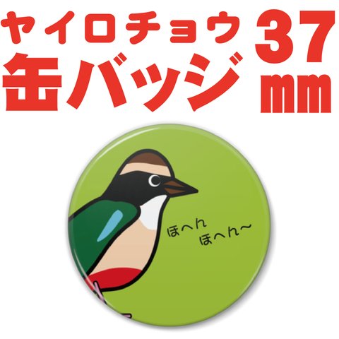 カラフルかわいい！！　ヤイロチョウさん缶バッジ