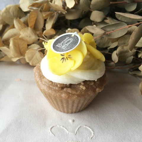 ★10%OFF★ pansy cup cake (G)