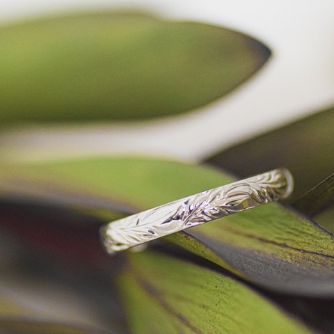 「Ti Leaf」Hawaiian silver ring / sv950