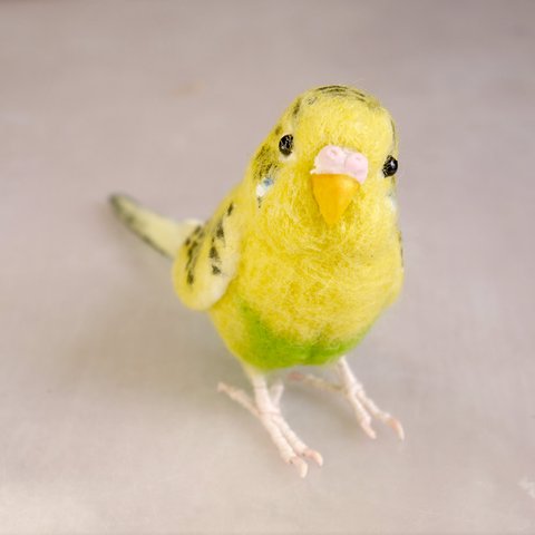 【オーダーメイド　羊毛フェルトの小鳥】セキセイインコ　1羽