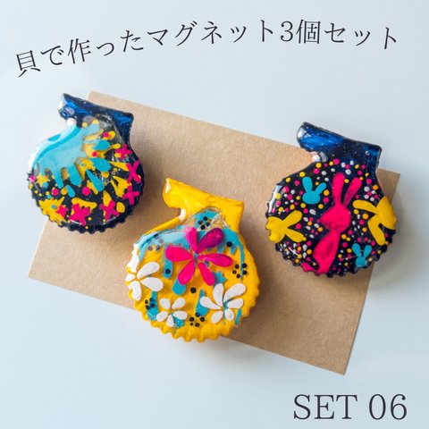 【3個セット】本物の貝で作ったマグネット SET 06