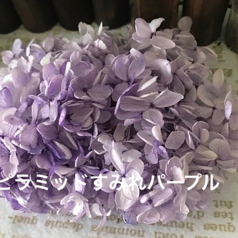 大地農園新色❣️すみれパープルピラミッド小分け❣️ハーバリウム花材プリザーブドフラワー紫陽花