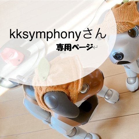 kksymphonyさん専用ページ（グレーのパーカーaibo服）