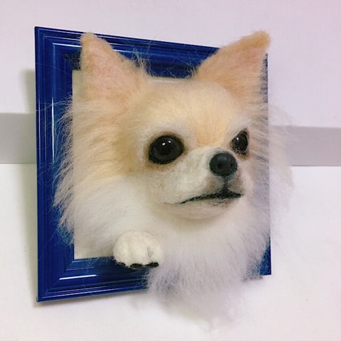 羊毛フェルト フレーム チワワ  犬