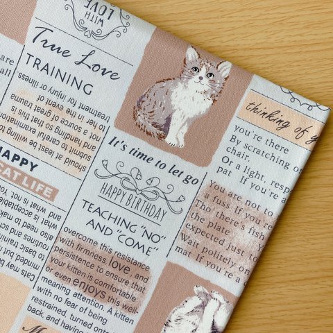 50*50【オックス】cat news paper①／ベージュ×オレンジ《 生地 オックス生地 コットン 綿 ネコ ねこ 猫 動物 アニマル COTTONCANDY 中厚手 》