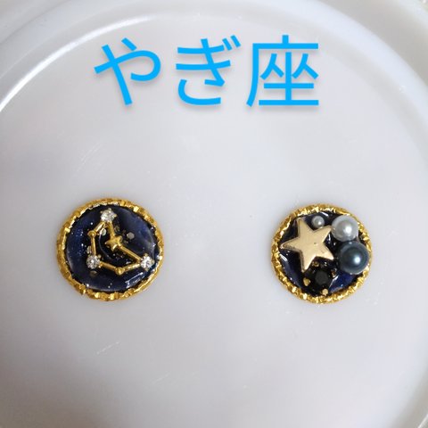 星座イヤリングorピアス　山羊座