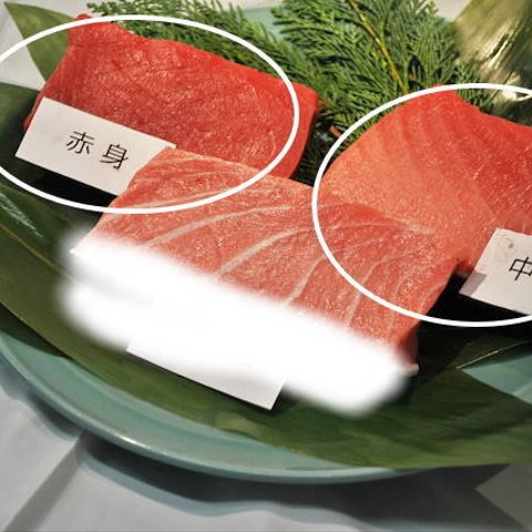 青森、津軽海峡、天然本マグロ「中トロ（冷凍）400g」「赤身（冷凍）400g」セット (計800g)