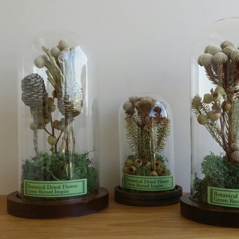 ボタニカル・ドーム　植物の美♫