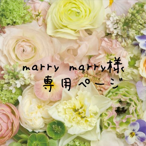 ＊marry marry様専用ページ＊