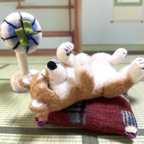 扇風機で涼みながらお昼寝する柴犬ちゃん💤羊毛フェルト