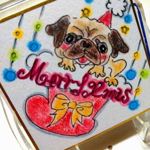 うちの子クリスマス2023🎄🐶🐾ミニ色紙1枚〜見本パグ