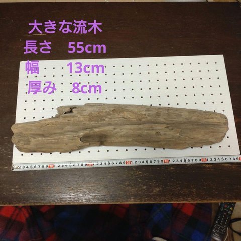 迫力の流木(55cm)