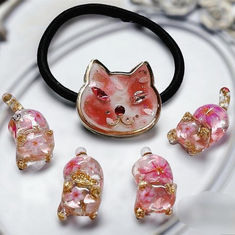 桜🌸猫