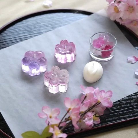 春の桜キャンドル 選べる和菓子セット