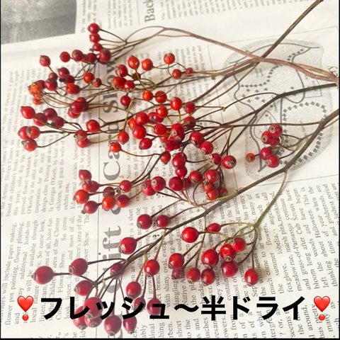 トゲ無し野薔薇の実レッド小分け❣️ドライ❣️ハンドメイド花材ドライフラワー 　　野バラの実