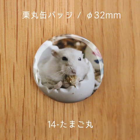 栗丸缶バッジ（32mmタイプ）【14-たまご丸】