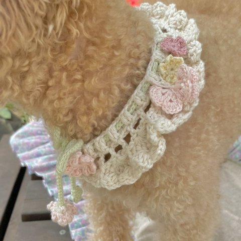 【DOG】オーダー/お花と蝶々の編み襟
