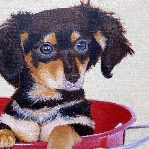 「子犬」油絵　