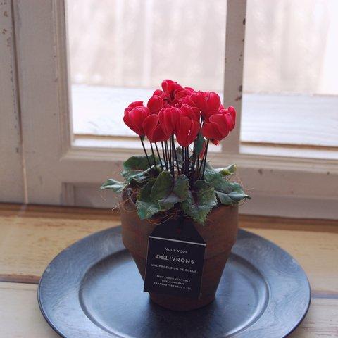 ◆粘土のお花◆　小さなシクラメン　レッド　アンティークブラウンポット…　S611