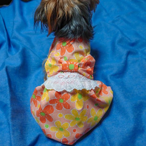 再入荷🍀着せやすい犬服🌞ビタミンカラーのワンピースorスモック🌻オーダーメイドで🌻✨