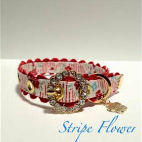 きらきらバックル首輪　Stripe Flower　レッド