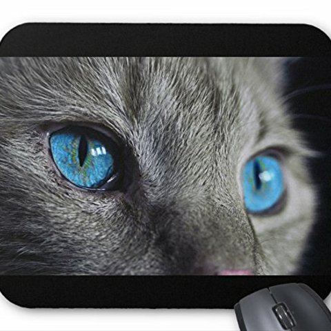青い目の猫のマウスパッド：フォトパッド（世界の猫シリーズ） (A)