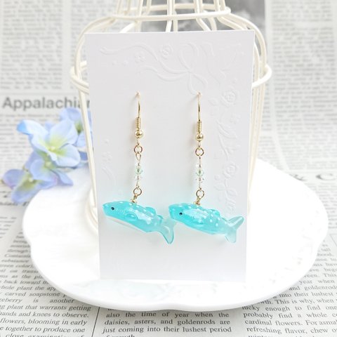 ジンベイザメ🐟ピアス