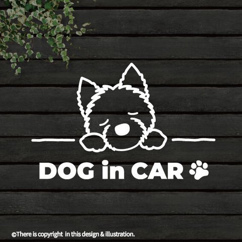 DOG IN CAR/ ウエスティ /ウエストハイランドテリア【カッティングステッカー】手書きわんこ