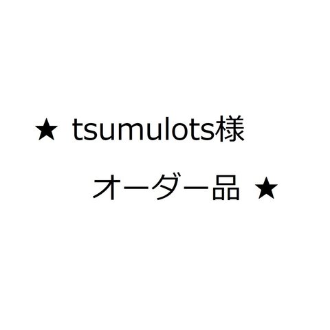 tsumulots様オーダー品★移動ポケット・キッズ携帯ケース