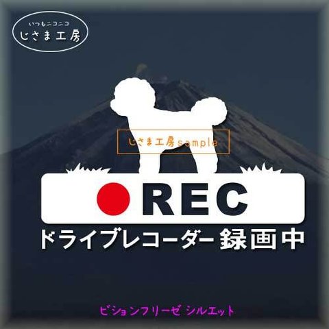 ビションフリーゼの白色シルエットステッカー煽り運転ドライブレコーダー録画中‼