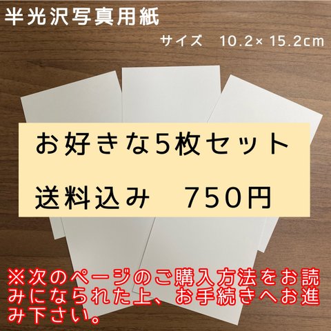 【半光沢写真用紙】お好きな5枚セット　☆送料無料☆