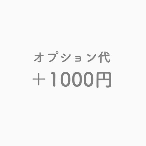 ★オプション代 ＋1000円★