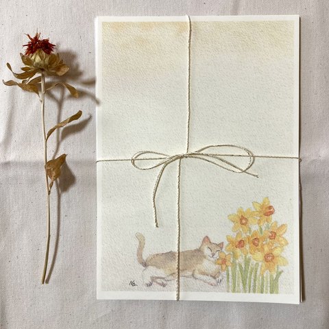 冬の便箋10枚✳︎水仙と猫