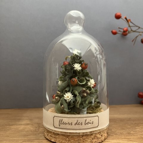 小さいクリスマスツリーのボトルフラワー